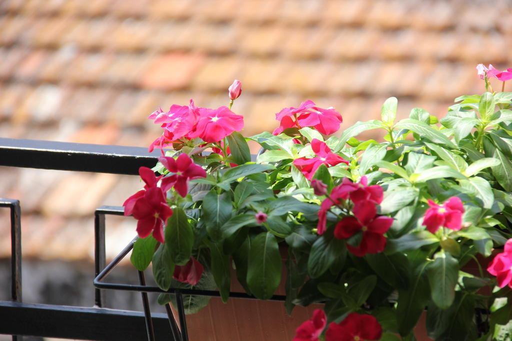 B&B Casa Venezia Bernalda Værelse billede